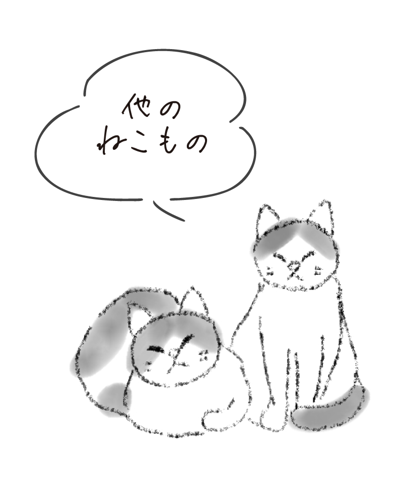 他のねこのもの