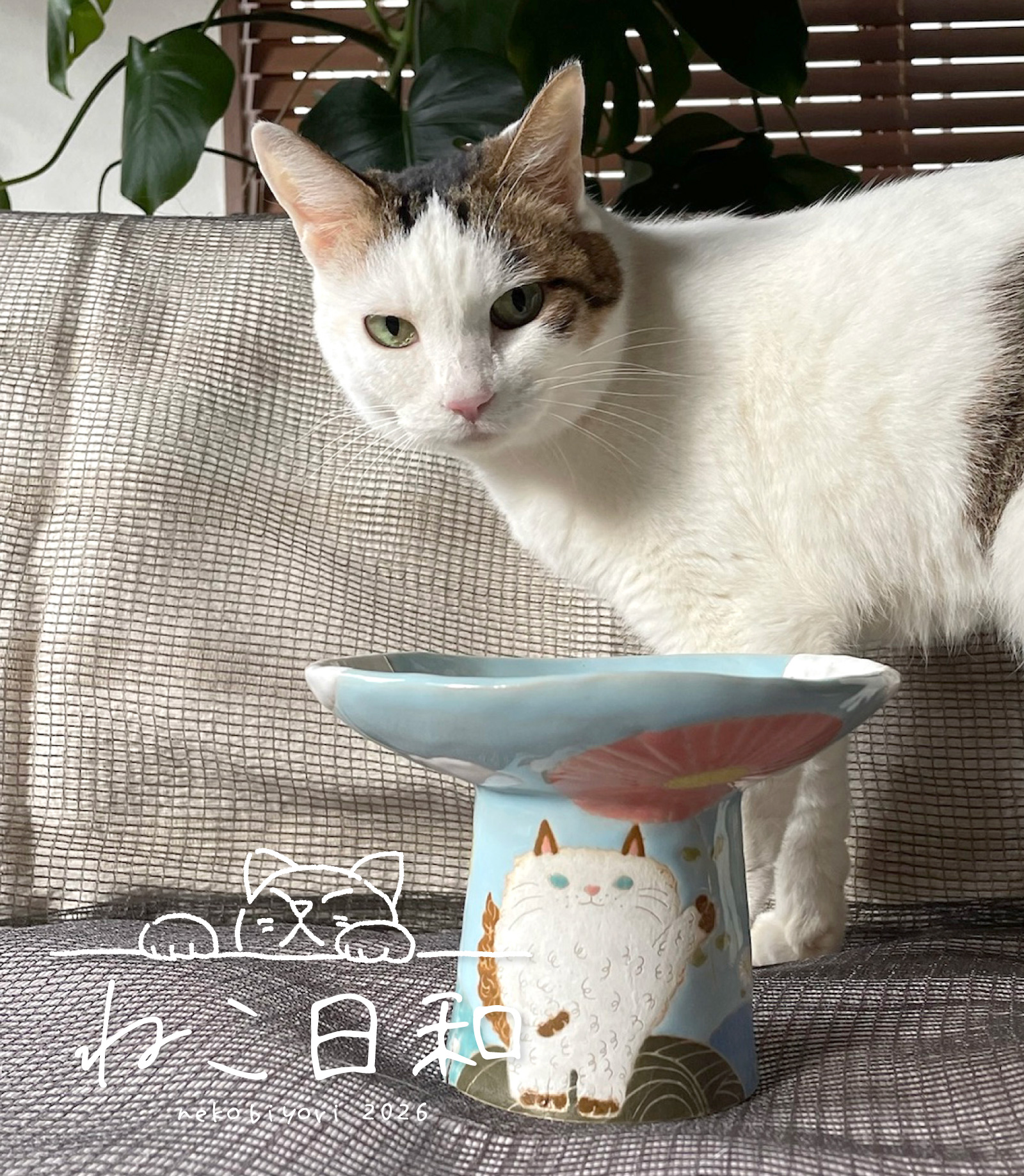 作家が作る、猫をモチーフにしたお皿や鉢が大集合 ねこ日和 和食器通販