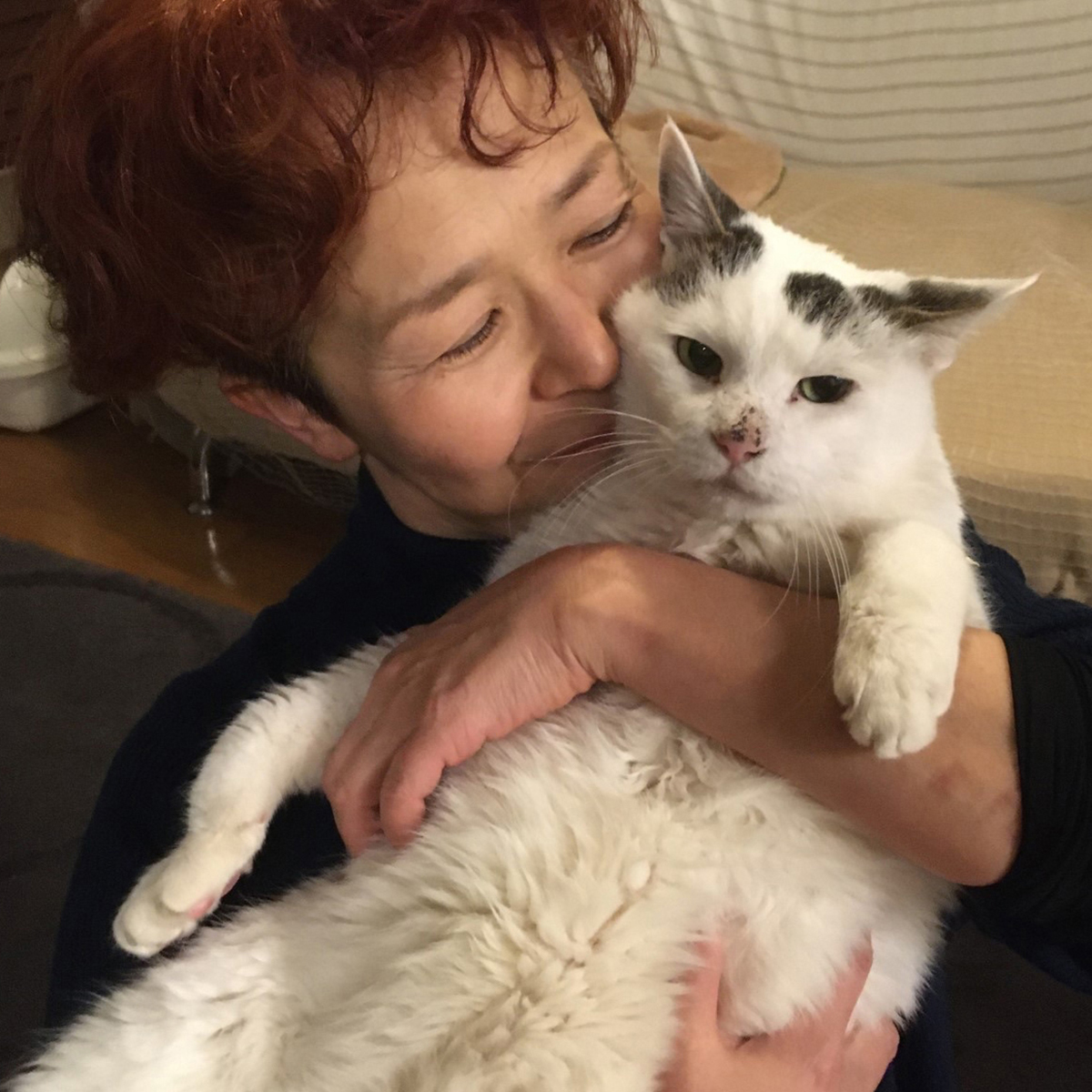 猫と作家のプロフィール