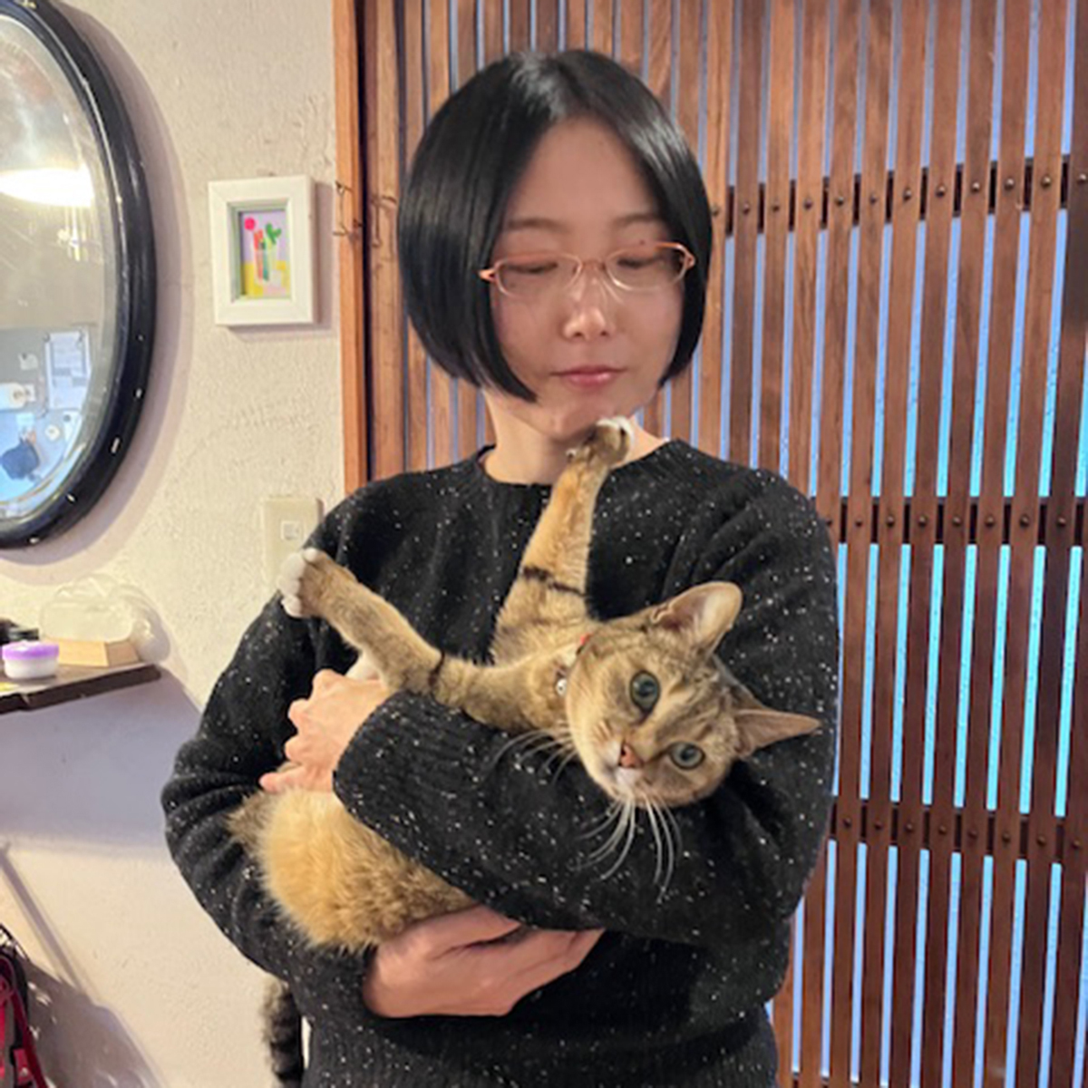 猫と作家のプロフィール