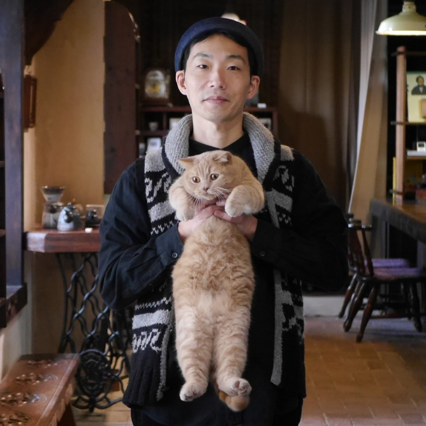 たち吉の猫日和 熊本象の猫と作家のプロフィール