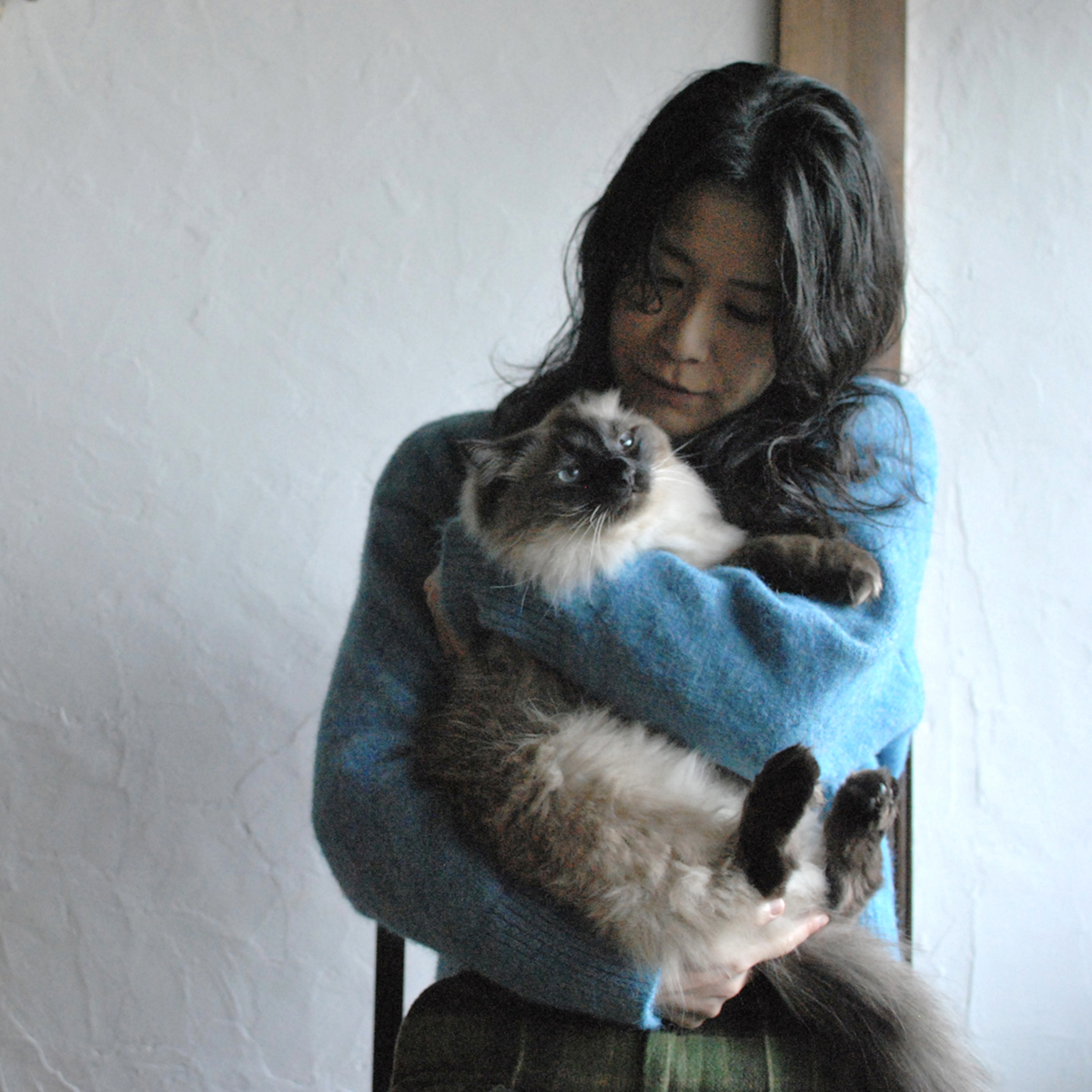猫と作家のプロフィール