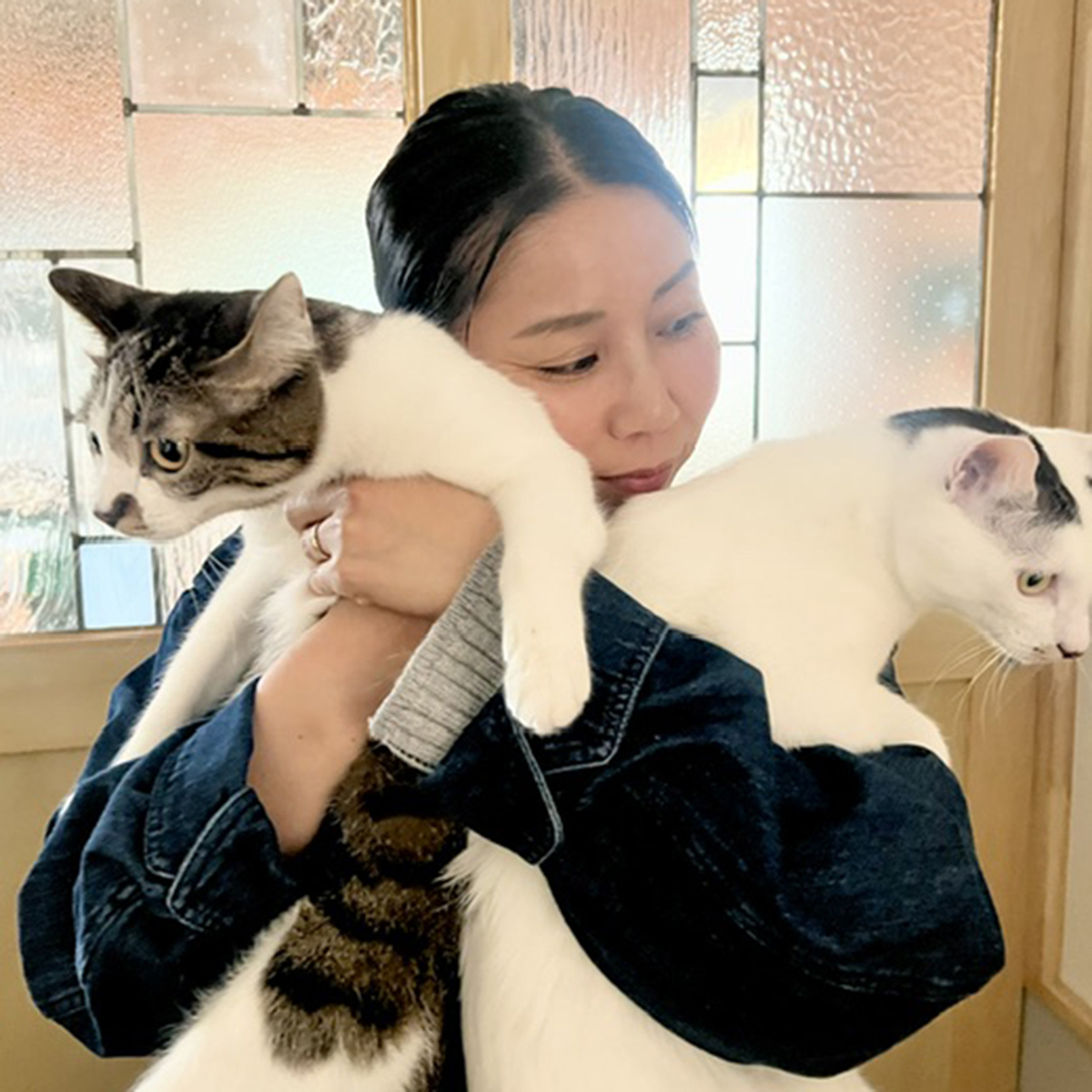 猫と作家のプロフィール