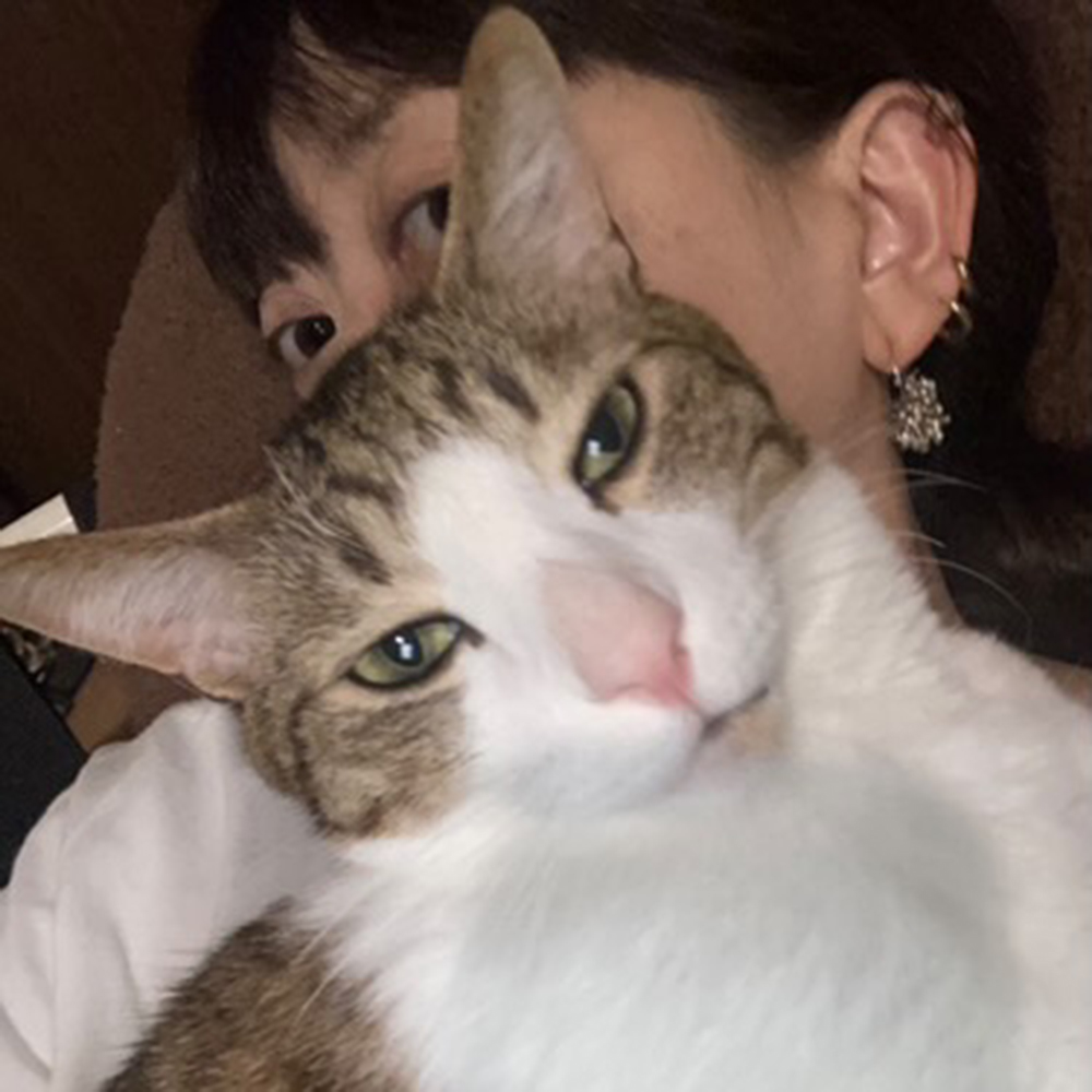 猫と作家のプロフィール