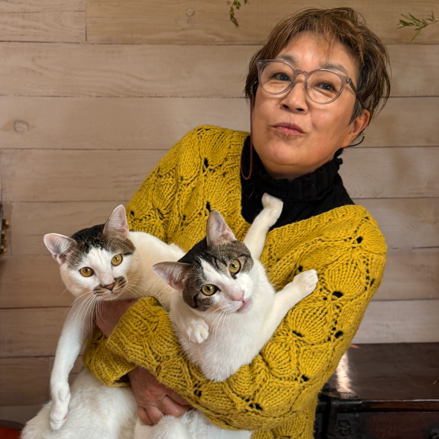 たち吉の猫日和 丁子恵美の猫と作家のプロフィール