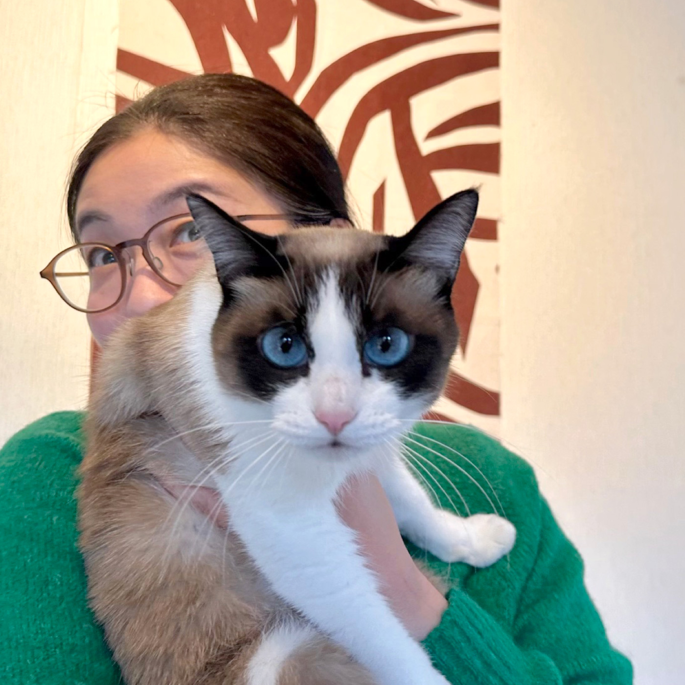 たち吉の猫日和 庄司千晶の猫と作家のプロフィール
