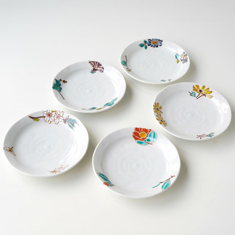 SALE 【九谷焼SALE】花ごよみ 5.2号皿〈5枚〉 |皿や鉢など和食器
