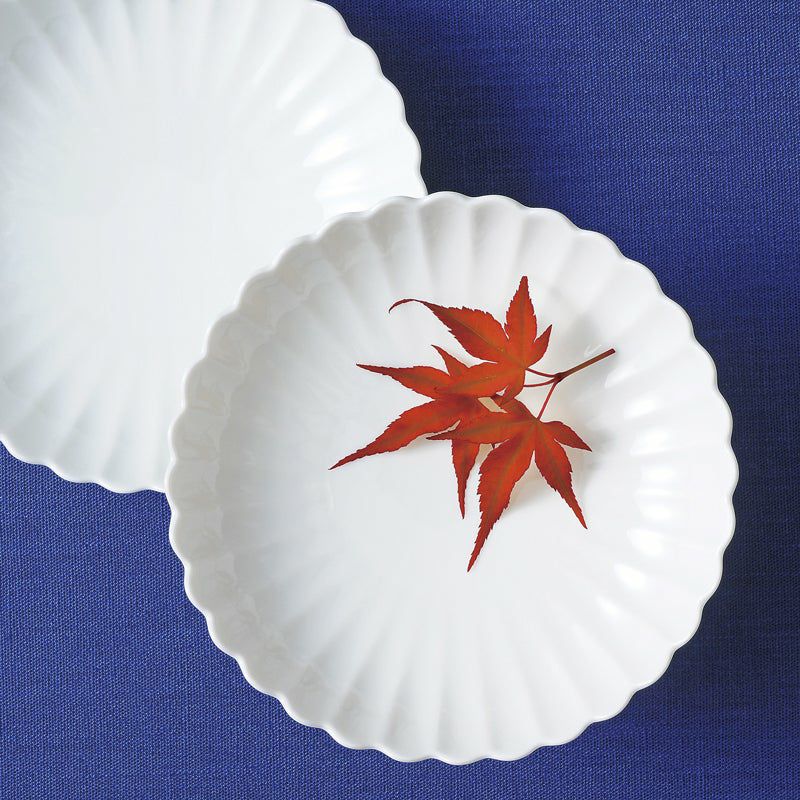 中皿（約15～23cm） 白菊 銘々皿〈5枚〉 美濃焼 |皿や鉢など和食器の