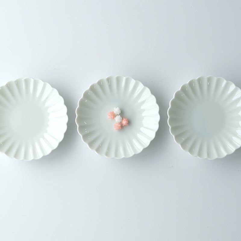 小皿・取皿（約9～14cm） 白菊 小皿〈5枚〉 美濃焼 |皿や鉢など和食器 