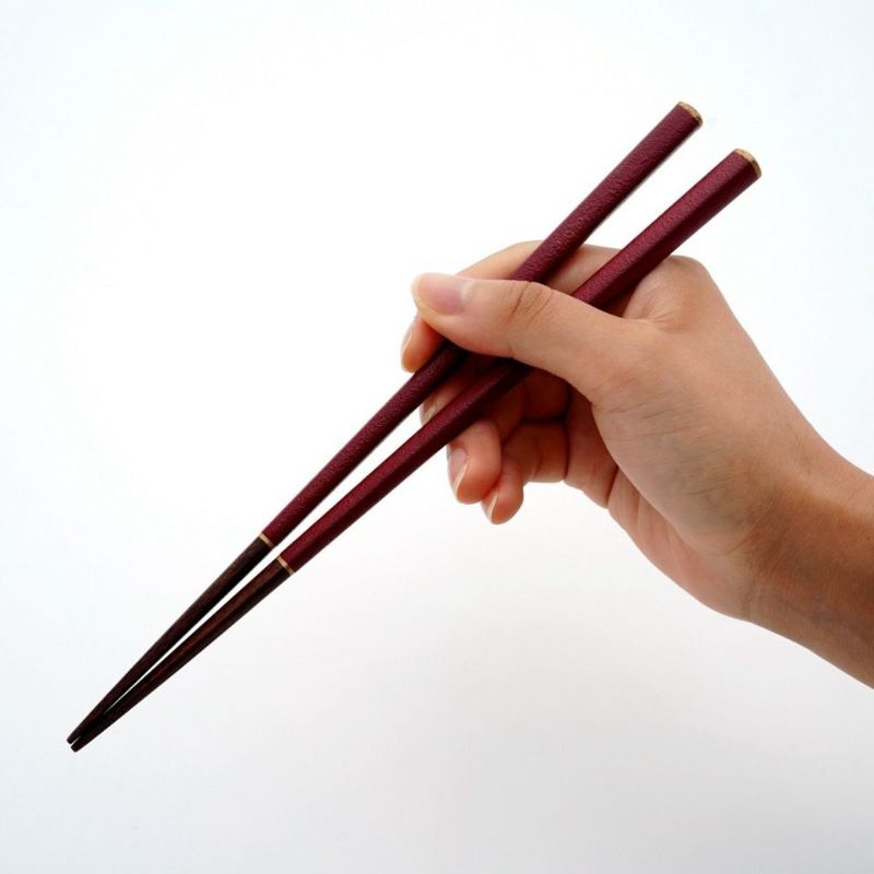 越前塗（福井県） 【えちぜん箸】先角箸 蒔地金ライン赤〈1膳〉 |皿や