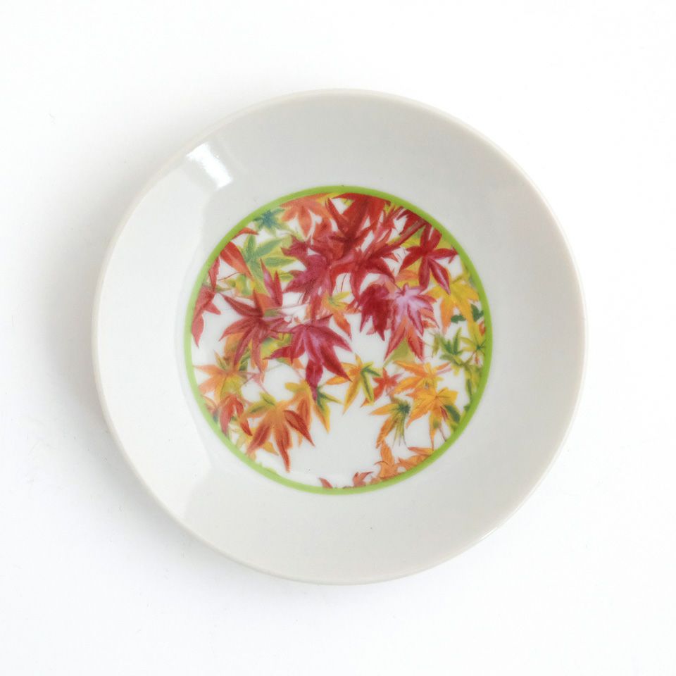 アート村×たち吉 アート村×たち吉 紅葉 小皿〈1枚〉 美濃焼 |皿や鉢  