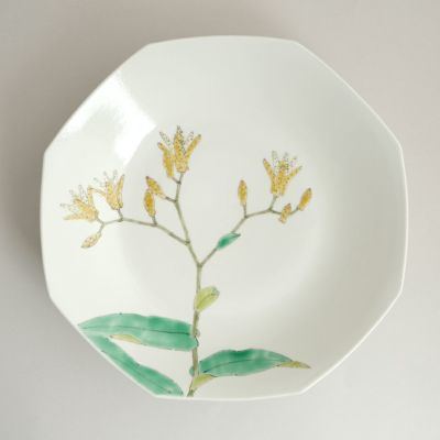 元女貴之（がんにょたかゆき） 【元女貴之】ホトトギス型打ち7寸皿B