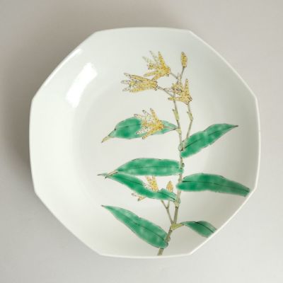 食器 domi 元女貴之（がんにょたかゆき） 【元女貴之】ホトトギス型打ち7寸皿E